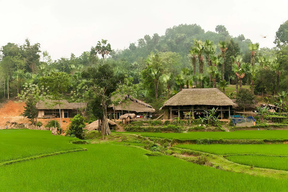 Traditional Dao houses in Ngoi Tu Village nestled among green hills